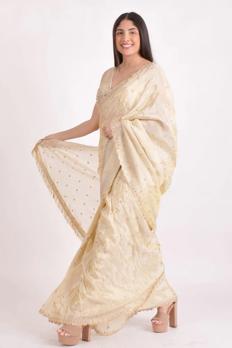 Beige Silk Pre-Pleated Embroidered Saree - Image 4