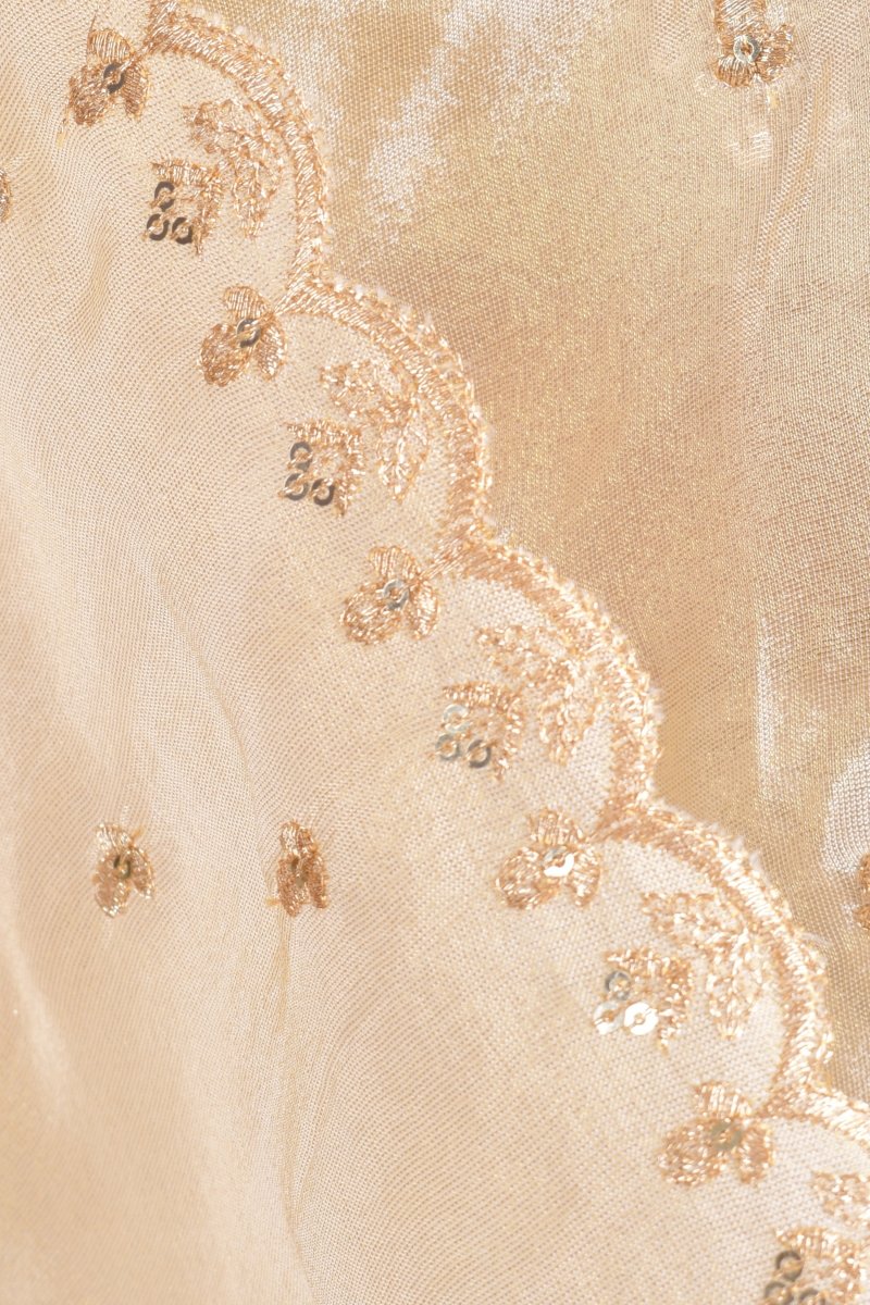 Beige Silk Pre-Pleated Embroidered Saree - Image 5